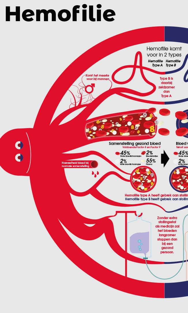VS-infographic-hemofilie-jacco-de-jager-61-0606